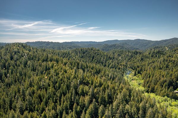 Sonoma County landscape — photography by Jaime Viera