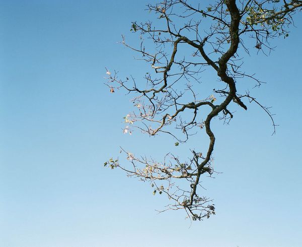 Sonoma County landscape — photography by Jaime Viera