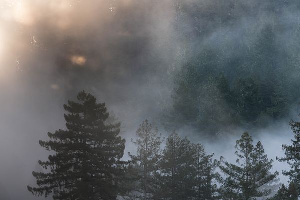 Sonoma County landscape — photography by Jaime Viera