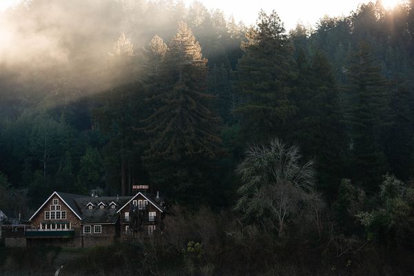 Sonoma County landscape — photography by Jaime Viera