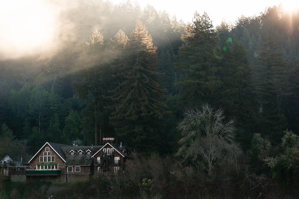 Sonoma County landscape — photography by Jaime Viera