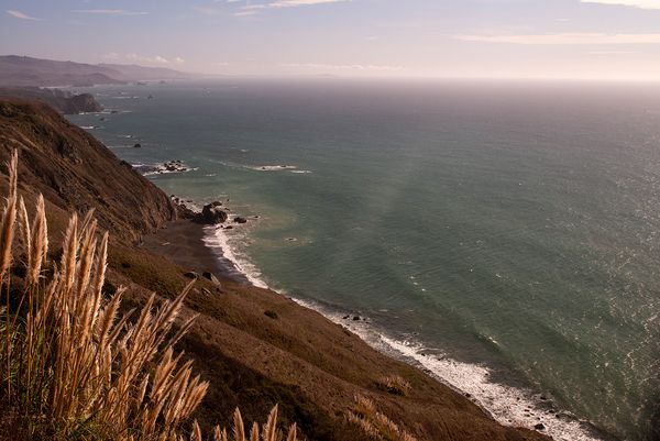 Sonoma County landscape — photography by Jaime Viera