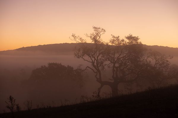 Sonoma County landscape — photography by Jaime Viera