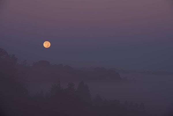 Sonoma County landscape — photography by Jaime Viera