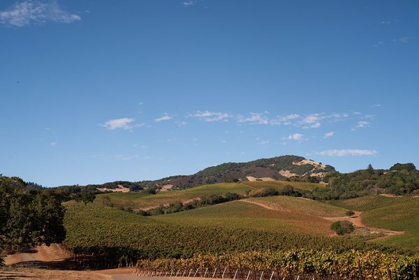 Sonoma County landscape — photography by Jaime Viera