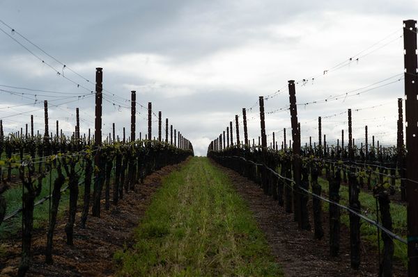 Sonoma County landscape — photography by Jaime Viera