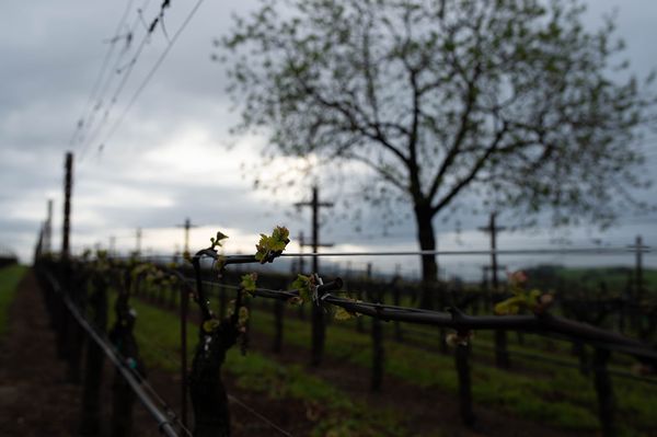 Sonoma County landscape — photography by Jaime Viera