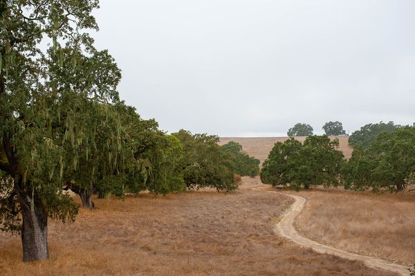 Sonoma County landscape — photography by Jaime Viera